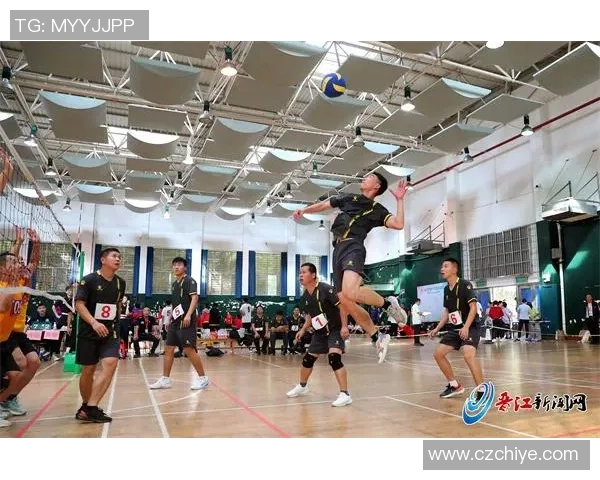 上海排球队状态分析：聚焦球队表现与未来发展方向